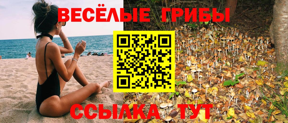Галлюциногенные грибы GOLDEN TEACHER  Вход с VPN  Туймазы 